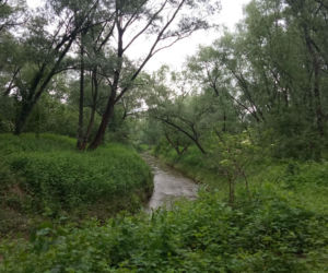 Park Rzeczny Wilga