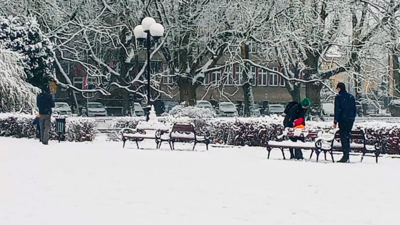 Pierwszy śnieg w Szczecinie
