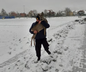 Olsztyn. Sarenka utknęła na Orliku. Pomogli strażnicy miejscy