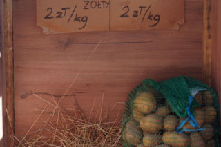 Kartoflomat podbija Podlasie