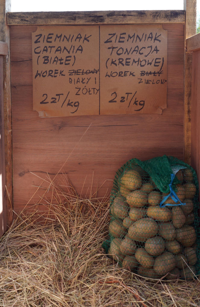 Kartoflomat podbija Podlasie