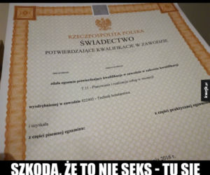 Egzamin zawodowy 2020: MEMY o egzaminie potwierdzającym kwalifikacje zawodowe [ZDJĘCIA]
