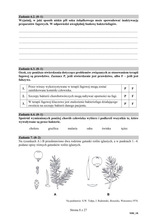 Matura 2019 z biologii [ARKUSZE CKE, ODPOWIEDZI]