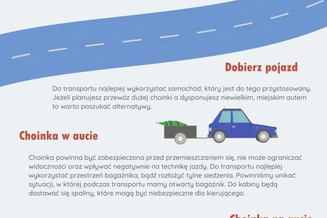 Jak przewieźć choinkę?