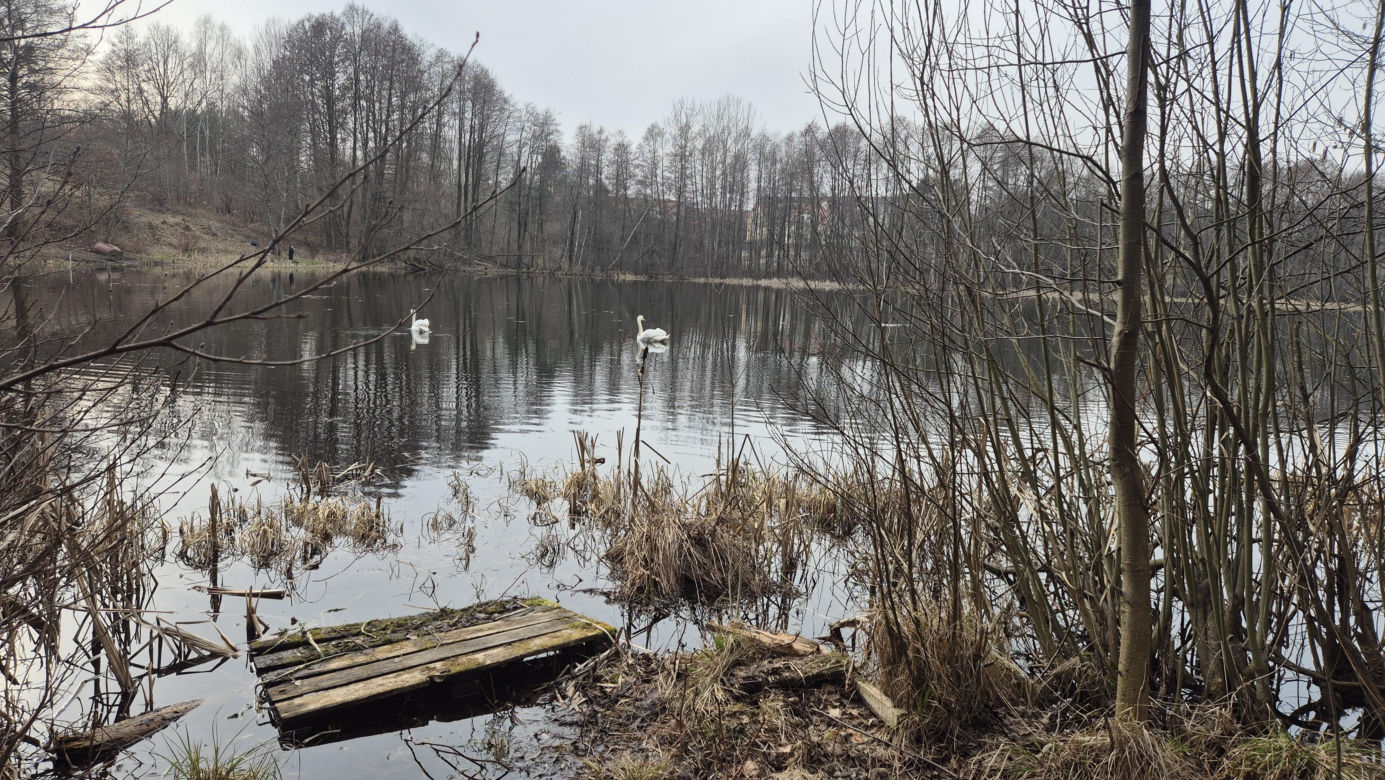 To jedno z najmniejszych jezior w Olsztynie. Prawie nikt o nim nie słyszał, a widoki zachwycają