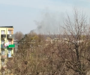 Gostynin. POŻAR masarni na ul. Płockiej! Trwa akcja gaśnicza! [ZDJĘCIA]