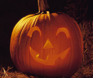Halloween dynie