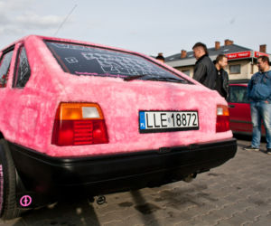 Włochaty polonez rządzi