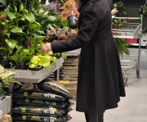 Anna Maria Żukowska buszuje w kwiatach