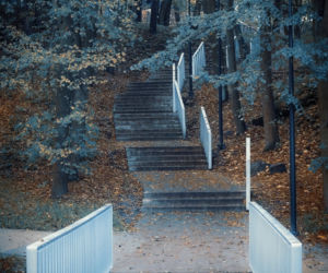 Park Miejski Starachowice