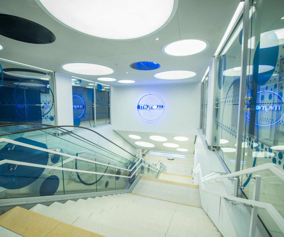 Kup sobie neon ze stacji metra Młynów! Wyjątkowa aukcja Allegro, pieniądze idą na WOŚP