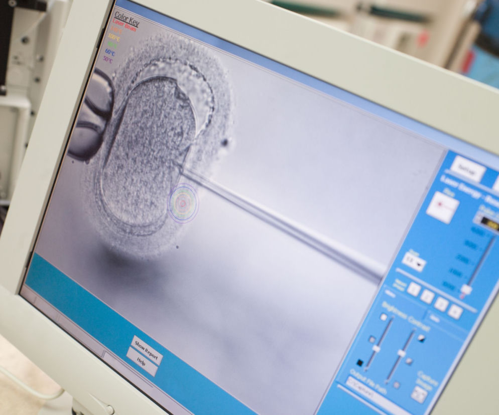 Ustaw o in vitro