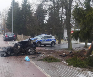 Drogowa makabra pod Siedlcami. Bmw walnęło w drzewo, auto rozpadło się na pół