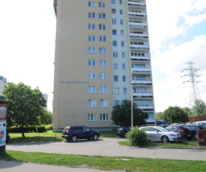 Ocaliłem karasia z powodzi