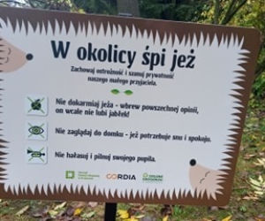 Domki dla jeży na Grzegórzkach