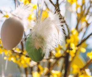 Strojne Jajo wraca! Ostrzeszowskie Centrum Kultury ogłasza wielkanocny konkurs