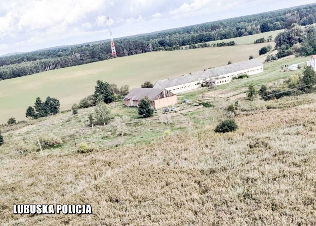 Poszukiwania 66-latki pod Międzyrzeczem