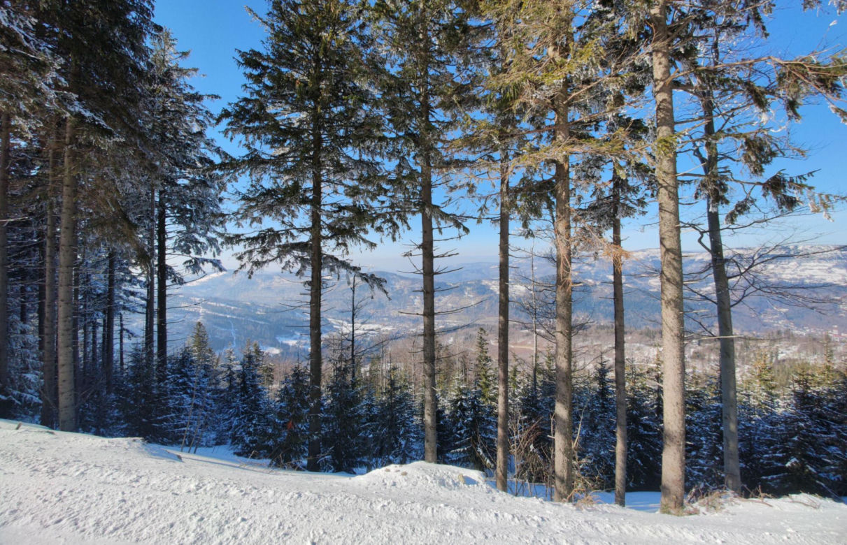Szczyrk Mountain Resort