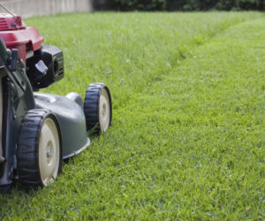 koszenie-trawnika