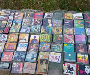 Pchli targ na Pogodnie