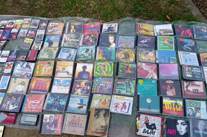 Pchli targ na Pogodnie