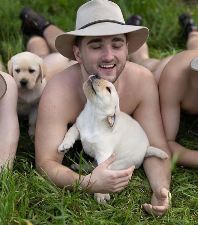 Kalendarz australijskich weterynarzy