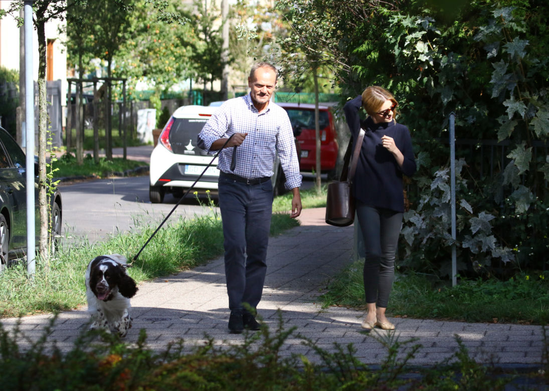 Tusk sprząta po psie