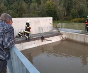 Zabrzeż. Strażacy uratowali bobra przed straszną śmiercią
