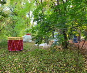 Poznański park iluminacji Magiczny Las