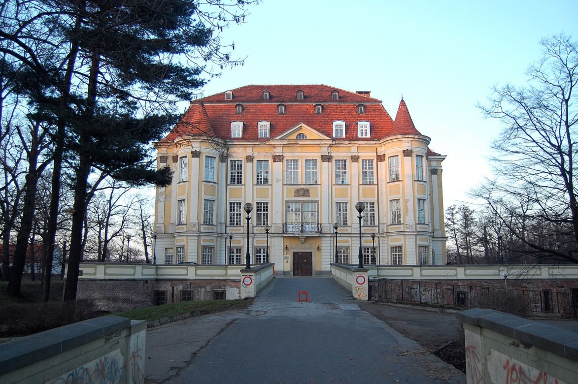 Zamek w Leśnicy