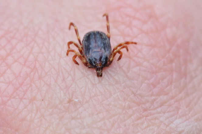 Barankowo (woj. wielkopolskie)