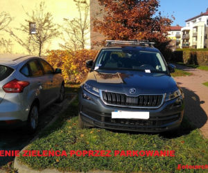 Mistrzowie parkowania z Gliwic! [ZDJĘCIA]