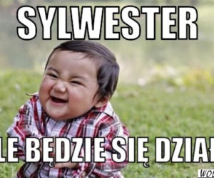 Sylwester 2019. Impreza u Andrzeja Dudy? A może z Polsatem? Zobacz najepsze memy
