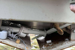 Doda cudem uniknęła śmierci! Właścicielka wyrzuciła ją do kontenera na elektrośmieci