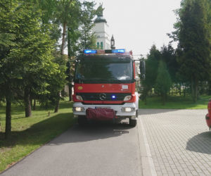 Strażacy uratowali jelonka