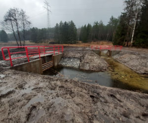 Na Warmii powstaje ptasie El Dorado. Sztuczne wyspy przyciągną rybitwy [ZDJĘCIA]