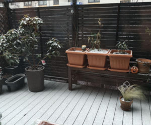 Zima na Dolnym Śląsku