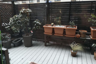 Zima na Dolnym Śląsku