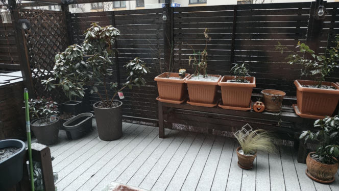 Zima na Dolnym Śląsku