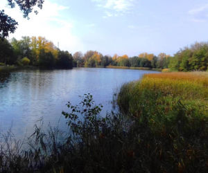 Jeziora w Toruniu i okolicach. Tutaj możesz odpocząć nad wodą