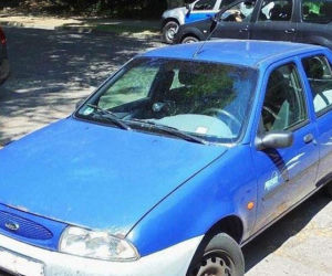 Turyści z Niemiec zostawili psa w nagrzanym aucie. Zwierzę nie przeżyło