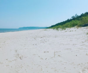 Rowerzyści kontra naturyści. Słynna naga plaża przestanie istnieć?