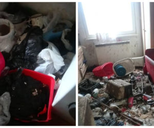 Szokujące warunki ujawnili inspektorzy KTOZ