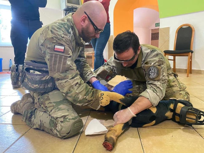 Przestrzelony hełm „Sikora”