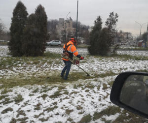 Absurd w Będzinie. Służby kosiły zmrożoną trawę? 