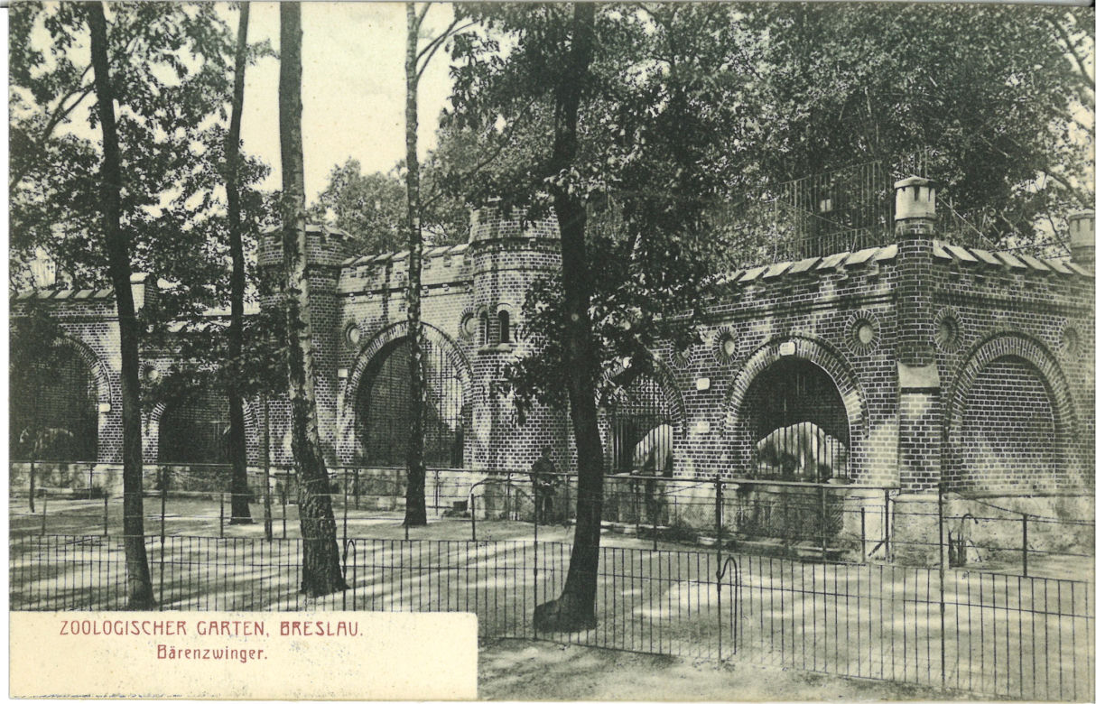 Niezwykłe pocztówki z wrocławskiego zoo. Pamiętają czasy Breslau! [ZDJĘCIA] 