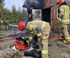 Do pożaru doszło we wtorek, 24 marca, na terenie ogródków działkowych ROD Odnowa przy ul. Cedrowej w Gdańsku