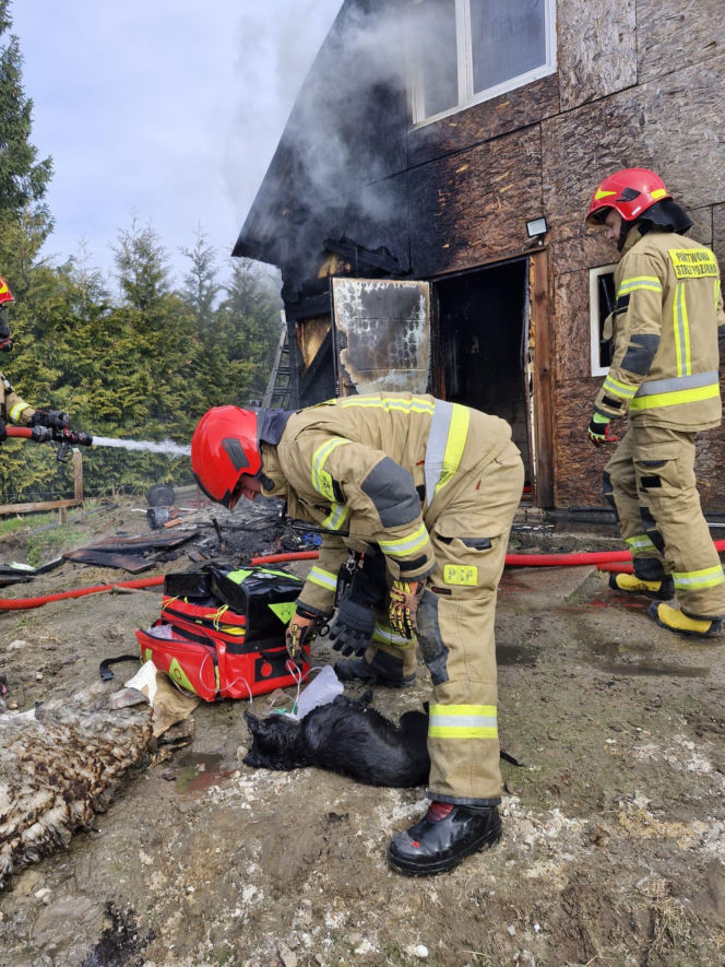 Do pożaru doszło we wtorek, 24 marca, na terenie ogródków działkowych ROD Odnowa przy ul. Cedrowej w Gdańsku