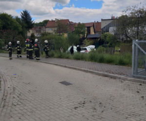 Wjechał do ogródka