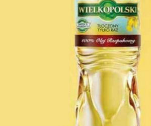 Promocje w Dino od 28 lipca.